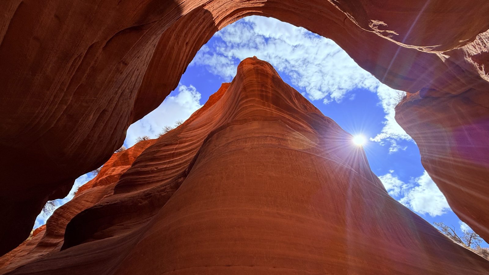 20250829_213059028_iOS